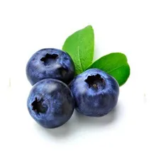 Blueberries at Evans and Clark greengrocer Rogerstone