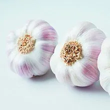 Garlic at Evans and Clark greengrocer Rogerstone